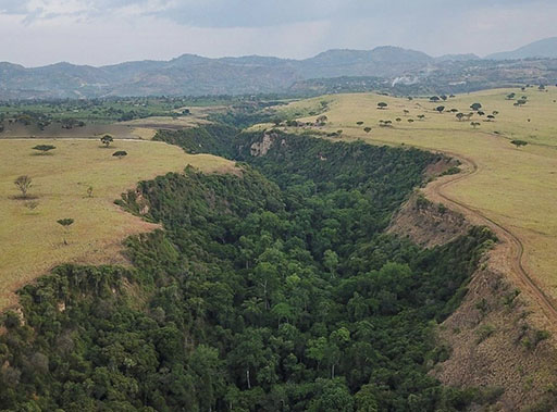 Kyambura National Park